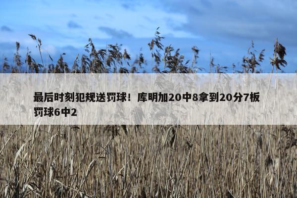 最后时刻犯规送罚球！库明加20中8拿到20分7板 罚球6中2