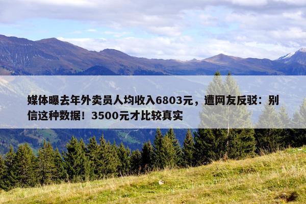 媒体曝去年外卖员人均收入6803元，遭网友反驳：别信这种数据！3500元才比较真实