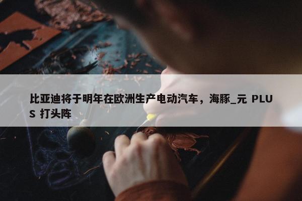 比亚迪将于明年在欧洲生产电动汽车，海豚_元 PLUS 打头阵