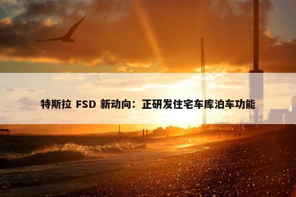 特斯拉 FSD 新动向：正研发住宅车库泊车功能