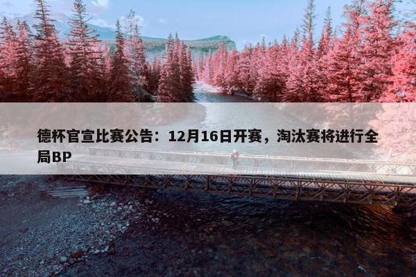 德杯官宣比赛公告：12月16日开赛，淘汰赛将进行全局BP