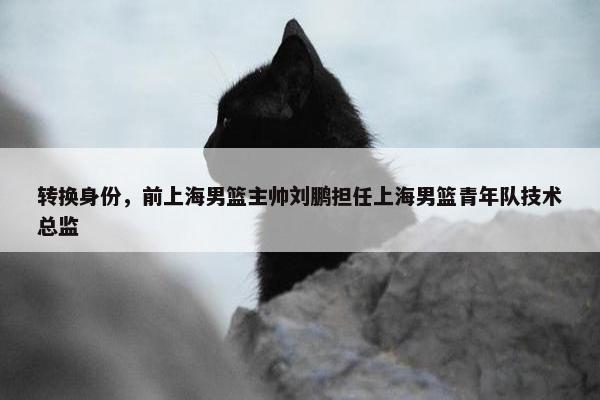 转换身份，前上海男篮主帅刘鹏担任上海男篮青年队技术总监