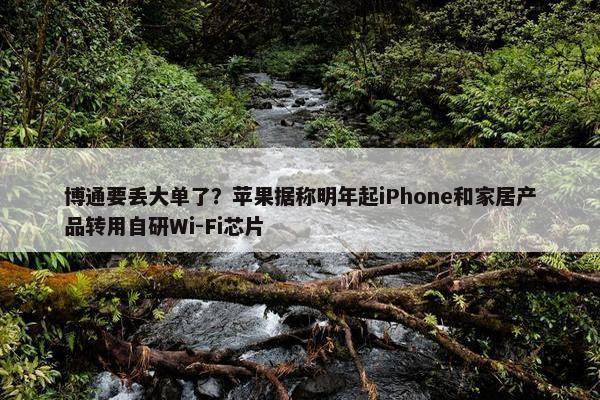 博通要丢大单了？苹果据称明年起iPhone和家居产品转用自研Wi-Fi芯片