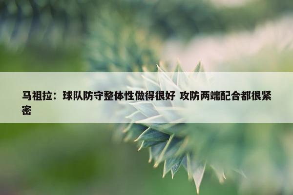 马祖拉：球队防守整体性做得很好 攻防两端配合都很紧密