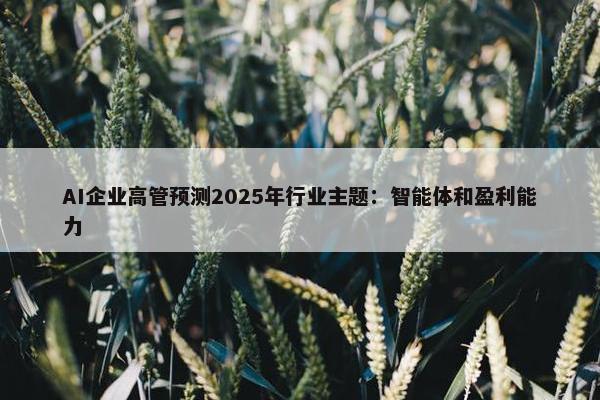 AI企业高管预测2025年行业主题：智能体和盈利能力