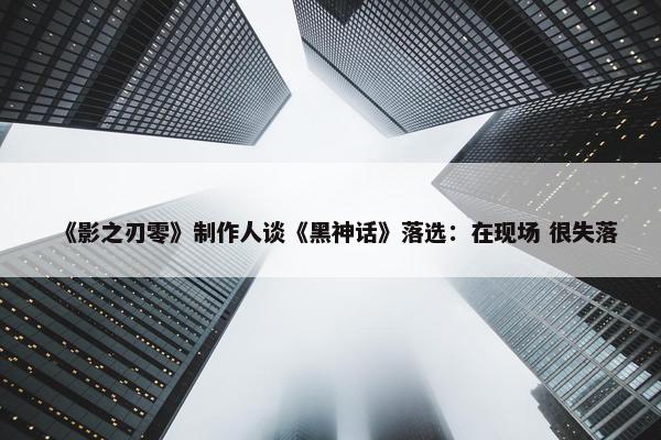 《影之刃零》制作人谈《黑神话》落选：在现场 很失落