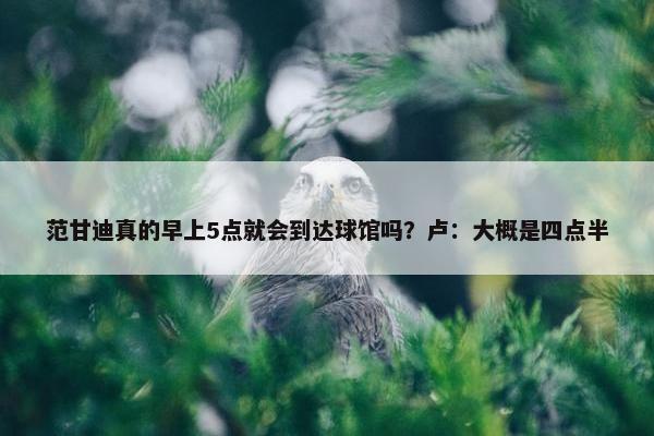 范甘迪真的早上5点就会到达球馆吗？卢：大概是四点半