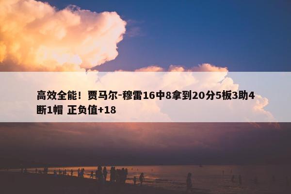 高效全能！贾马尔-穆雷16中8拿到20分5板3助4断1帽 正负值+18