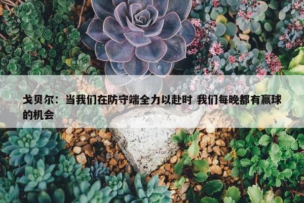 戈贝尔：当我们在防守端全力以赴时 我们每晚都有赢球的机会