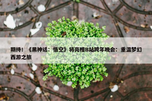 期待！《黑神话：悟空》将亮相B站跨年晚会：重温梦幻西游之旅