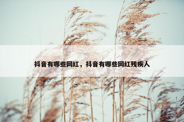 抖音有哪些网红，抖音有哪些网红残疾人