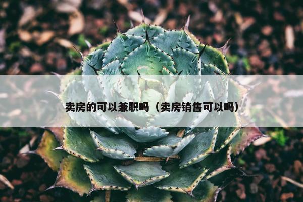 卖房的可以兼职吗（卖房销售可以吗）