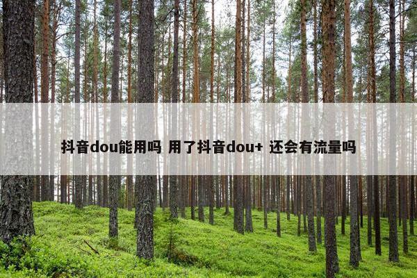 抖音dou能用吗 用了抖音dou+ 还会有流量吗