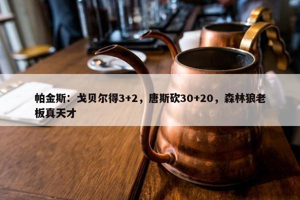 帕金斯：戈贝尔得3+2，唐斯砍30+20，森林狼老板真天才