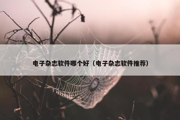 电子杂志软件哪个好（电子杂志软件推荐）