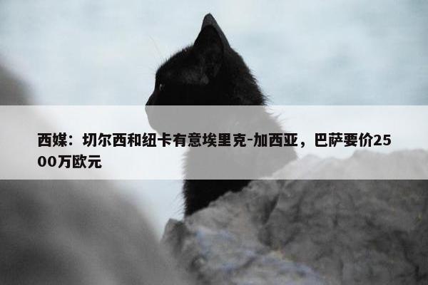 西媒：切尔西和纽卡有意埃里克-加西亚，巴萨要价2500万欧元