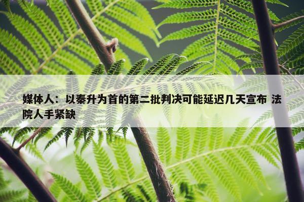 媒体人：以秦升为首的第二批判决可能延迟几天宣布 法院人手紧缺