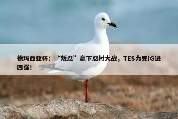 德玛西亚杯：“叛忍”赢下忍村大战，TES力克IG进四强！