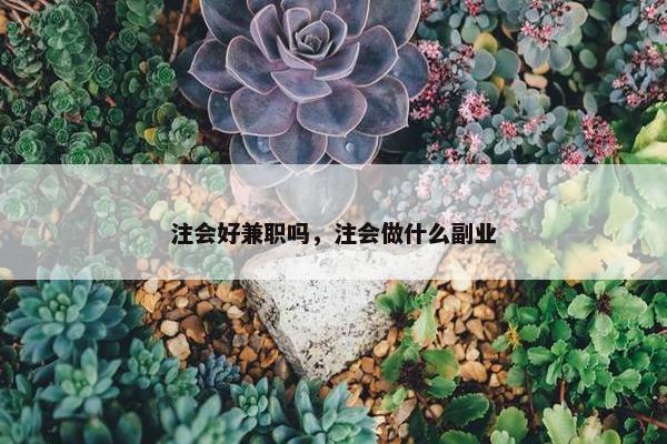 注会好兼职吗，注会做什么副业