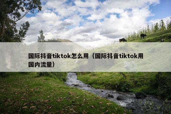 国际抖音tiktok怎么用（国际抖音tiktok用国内流量）