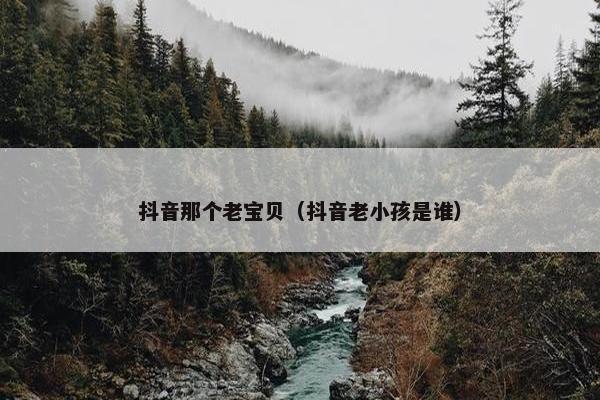 抖音那个老宝贝（抖音老小孩是谁）