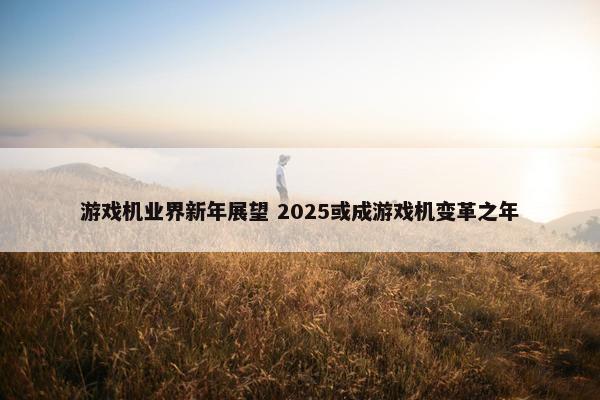 游戏机业界新年展望 2025或成游戏机变革之年