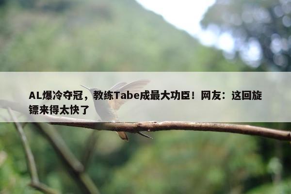 AL爆冷夺冠，教练Tabe成最大功臣！网友：这回旋镖来得太快了