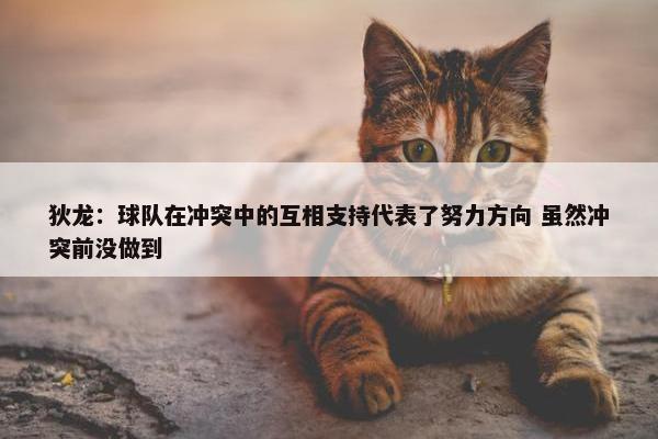 狄龙：球队在冲突中的互相支持代表了努力方向 虽然冲突前没做到