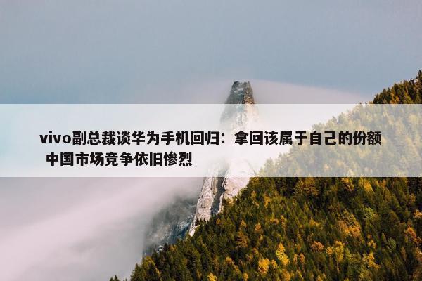 vivo副总裁谈华为手机回归：拿回该属于自己的份额 中国市场竞争依旧惨烈