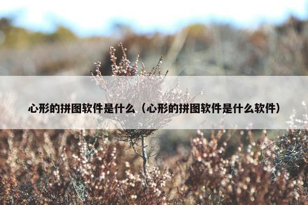 心形的拼图软件是什么（心形的拼图软件是什么软件）