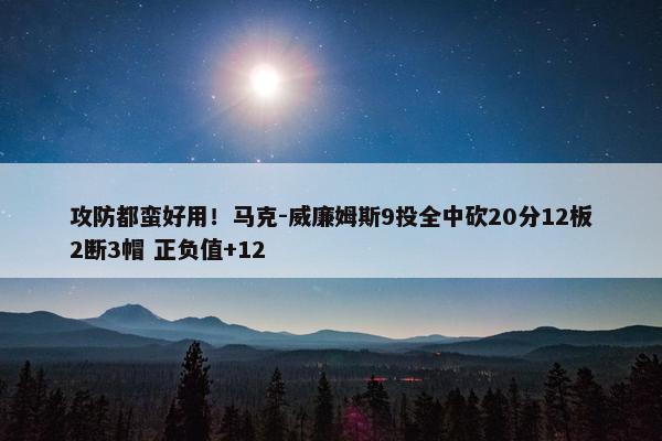 攻防都蛮好用！马克-威廉姆斯9投全中砍20分12板2断3帽 正负值+12