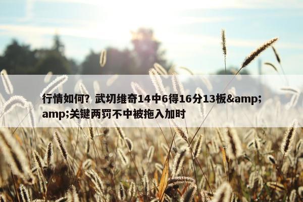 行情如何？武切维奇14中6得16分13板&amp;关键两罚不中被拖入加时