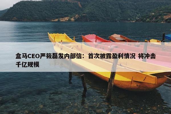 盒马CEO严筱磊发内部信：首次披露盈利情况 将冲击千亿规模