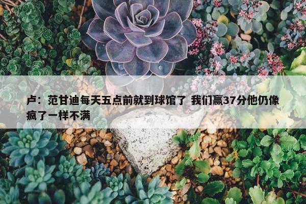 卢：范甘迪每天五点前就到球馆了 我们赢37分他仍像疯了一样不满