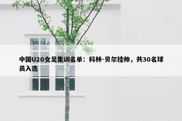 中国U20女足集训名单：科林-贝尔挂帅，共30名球员入选