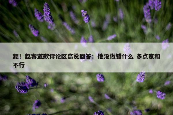 额！赵睿道歉评论区高赞回答：他没做错什么 多点宽和不行