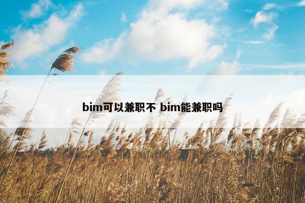 bim可以兼职不 bim能兼职吗