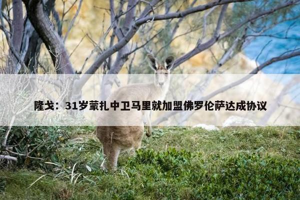 隆戈：31岁蒙扎中卫马里就加盟佛罗伦萨达成协议