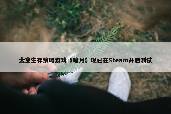 太空生存策略游戏《暗月》现已在Steam开启测试