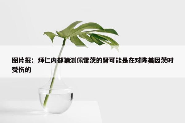 图片报：拜仁内部猜测佩雷茨的肾可能是在对阵美因茨时受伤的